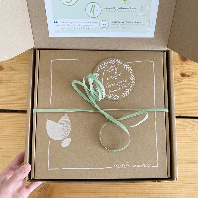 Die Vorsorge-Box von Animal Tree, verschnürt mit grünem Band, auf einem Holztisch